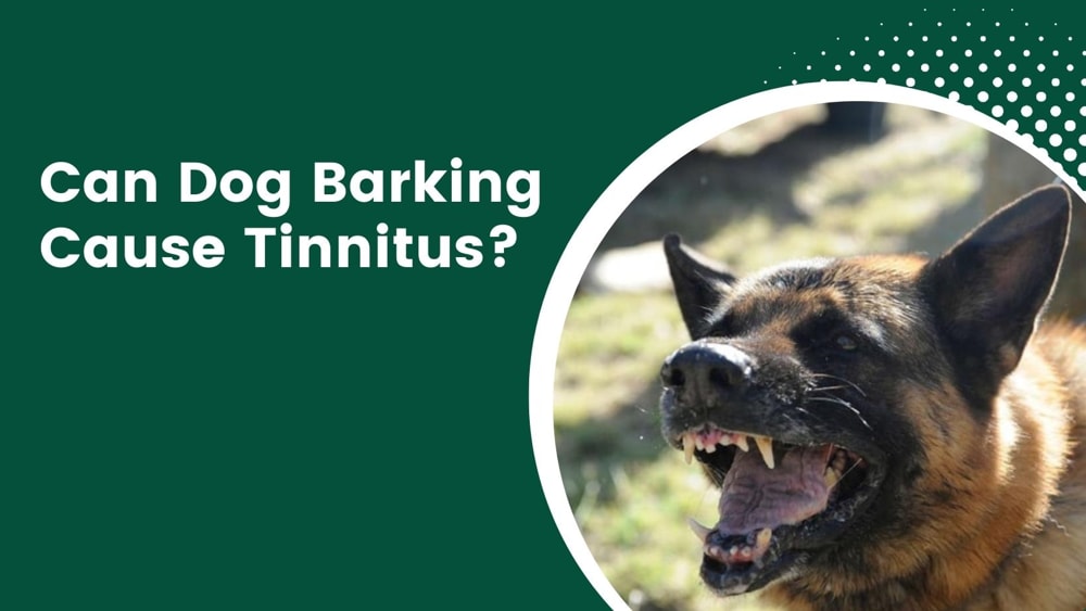 Can Dog Barking Cause Tinnitus?