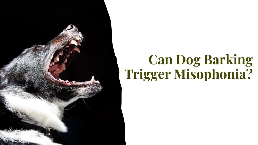 Can Dog Barking Trigger Misophonia